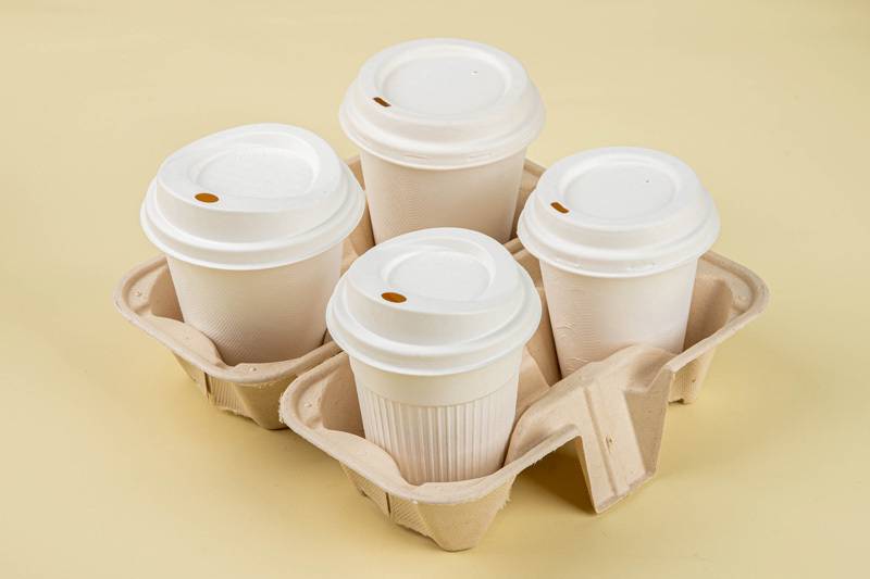 Sugarcane pulp fiber series products - image 1