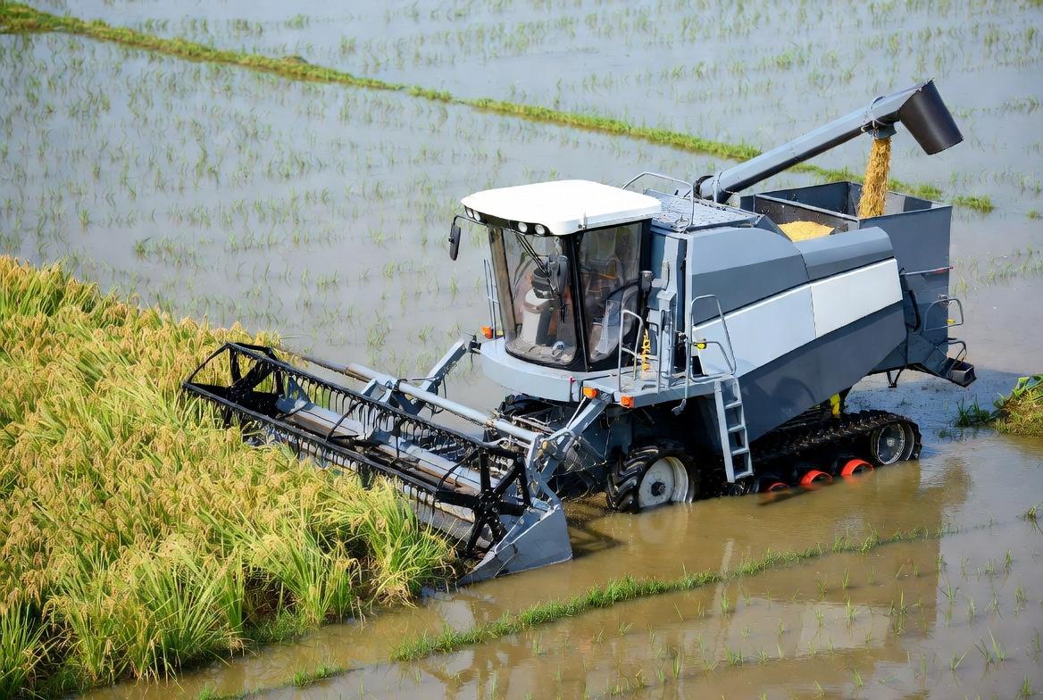 Rice Combine Harvesters for Wet-Field Efficiency