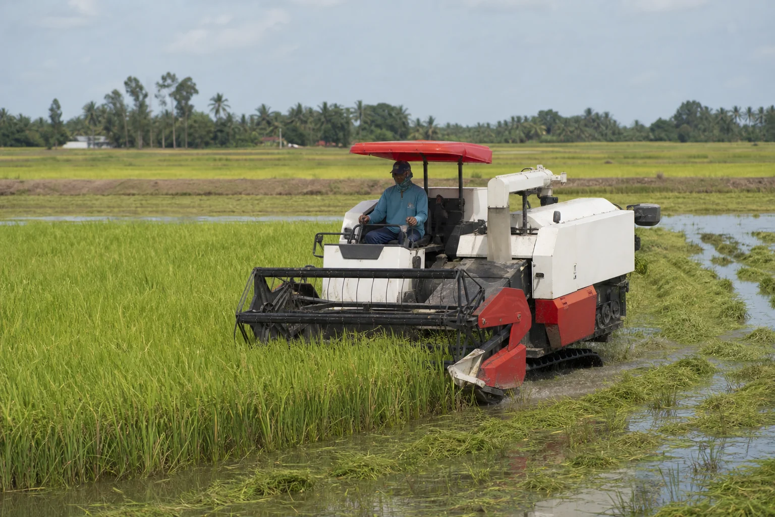 Rice and wet-field operations